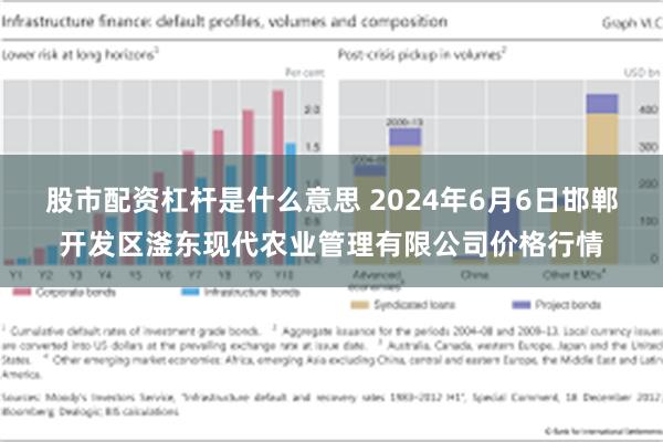 股市配资杠杆是什么意思 2024年6月6日邯郸开发区滏东现代农业管理有限公司价格行情