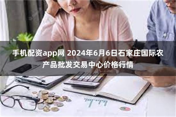 手机配资app网 2024年6月6日石家庄国际农产品批发交易中心价格行情