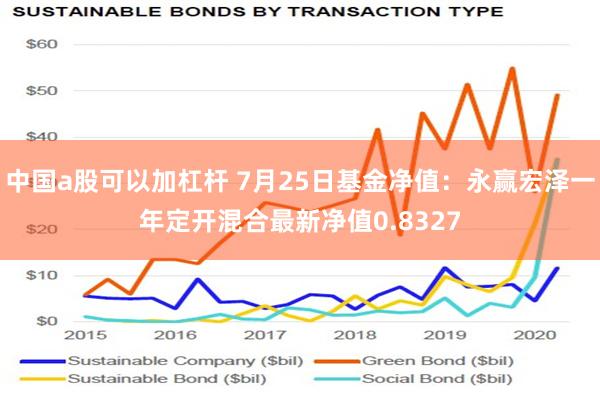 中国a股可以加杠杆 7月25日基金净值：永赢宏泽一年定开混合最新净值0.8327