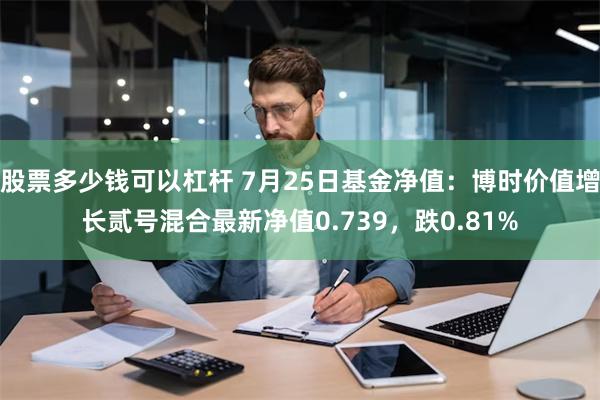 股票多少钱可以杠杆 7月25日基金净值：博时价值增长贰号混合最新净值0.739，跌0.81%