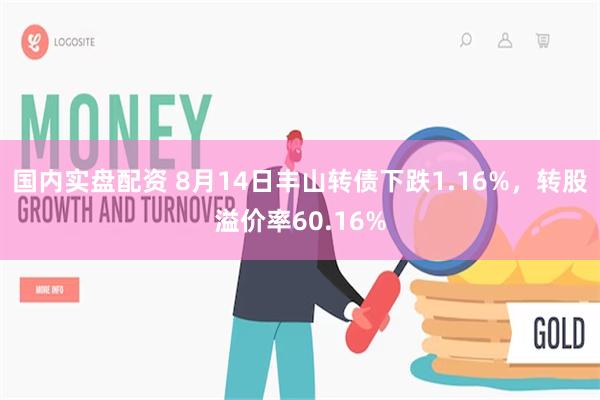 国内实盘配资 8月14日丰山转债下跌1.16%，转股溢价率60.16%