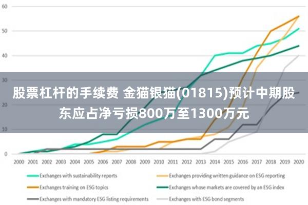 股票杠杆的手续费 金猫银猫(01815)预计中期股东应占净亏损800万至1300万元