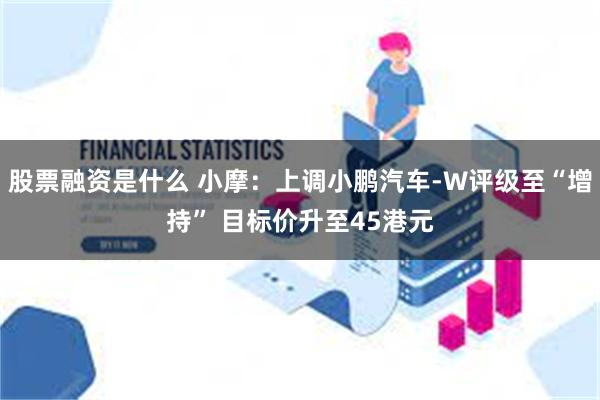 股票融资是什么 小摩：上调小鹏汽车-W评级至“增持” 目标价升至45港元