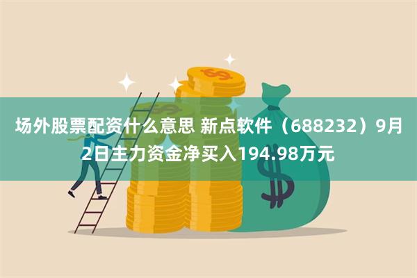 场外股票配资什么意思 新点软件（688232）9月2日主力资金净买入194.98万元