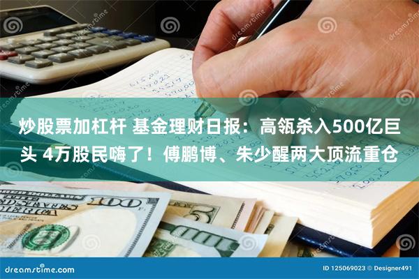 炒股票加杠杆 基金理财日报：高瓴杀入500亿巨头 4万股民嗨了！傅鹏博、朱少醒两大顶流重仓