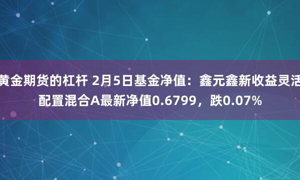 黄金期货的杠杆 2月5日基金净值：鑫元鑫新收益灵活配置混合A最新净值0.6799，跌0.07%