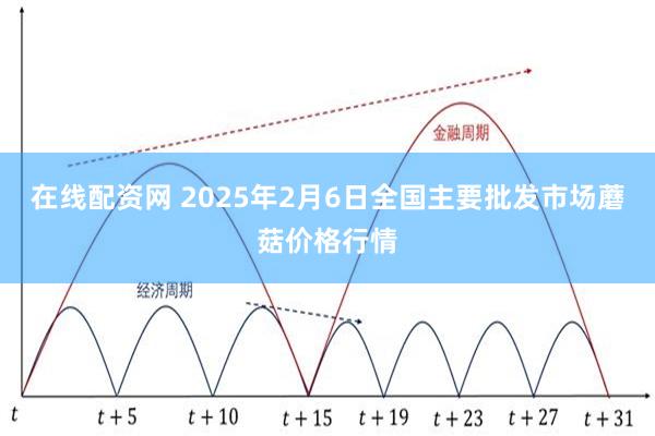 在线配资网 2025年2月6日全国主要批发市场蘑菇价格行情