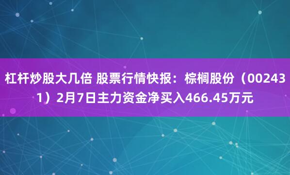 杠杆炒股大几倍 股票行情快报：棕榈股份（002431）2月7日主力资金净买入466.45万元