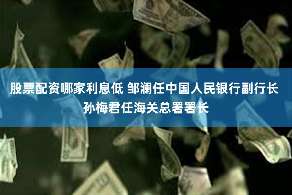 股票配资哪家利息低 邹澜任中国人民银行副行长 孙梅君任海关总署署长