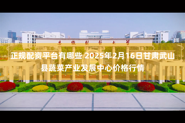 正规配资平台有哪些 2025年2月16日甘肃武山县蔬菜产业发展中心价格行情