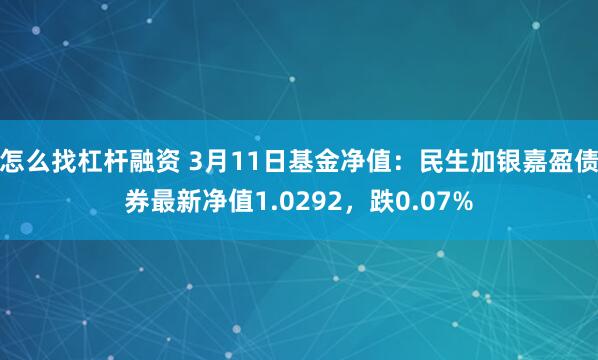 怎么找杠杆融资 3月11日基金净值：民生加银嘉盈债券最新净值1.0292，跌0.07%