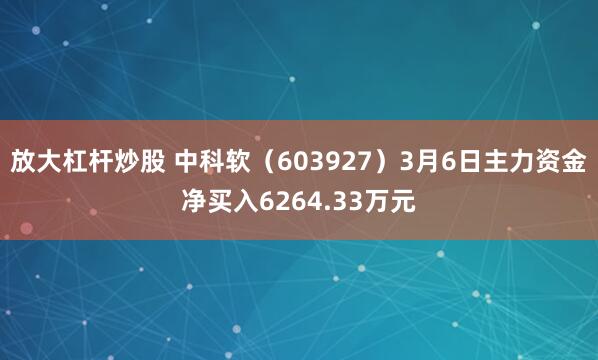 放大杠杆炒股 中科软(603927)3月6日主力资金净买入6264.33万元